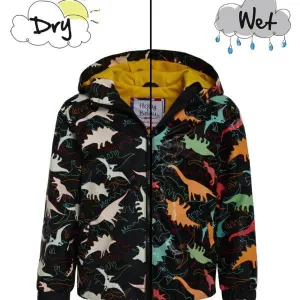 Color Changing Dinosaur Raincoat